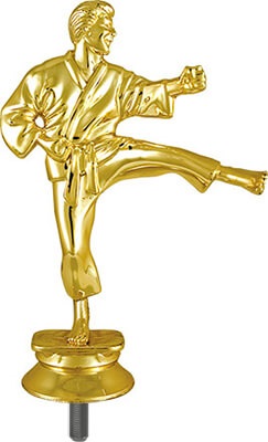 Фигура Карате