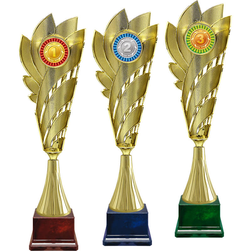 Кубок Лолла 3 место