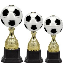 Кубок Гвен (футбол)