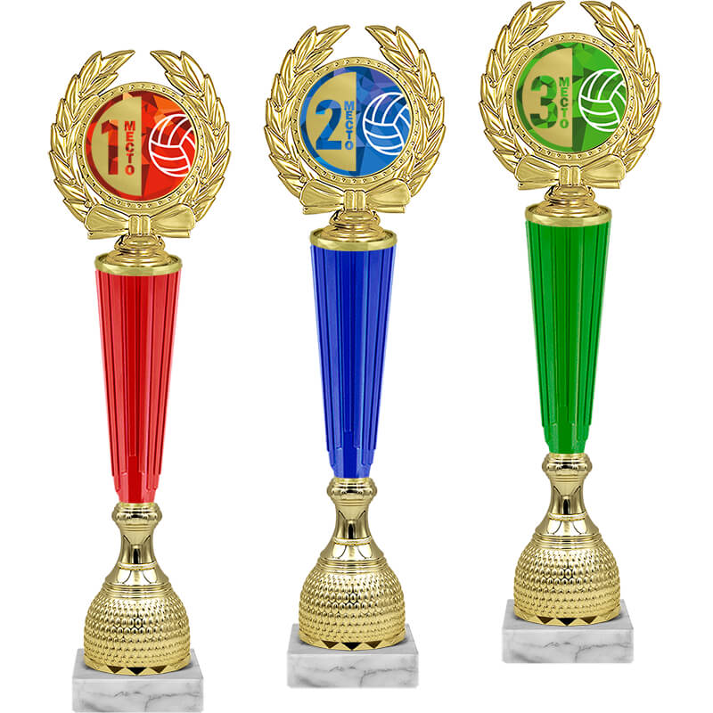 Награда волейбол 2 место