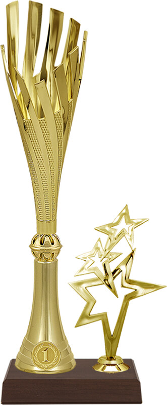 Кубок Энн 1 место