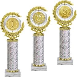 Награда 3 место