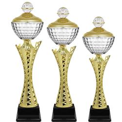 Кубок Карина