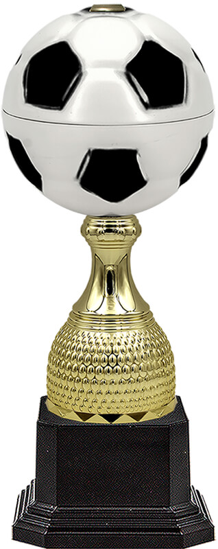 Кубок Гвен (футбол)