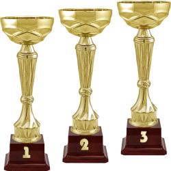 Кубок Спарт 3 место