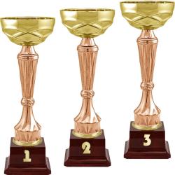 Кубок Спарт 3 место