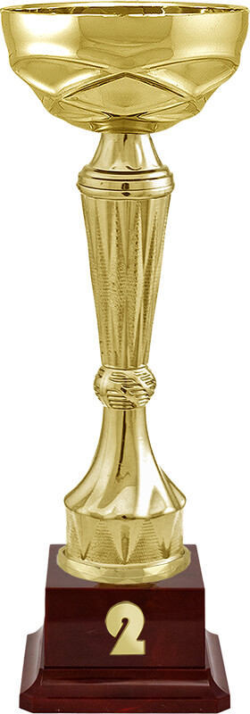 Кубок Спарт 2 место