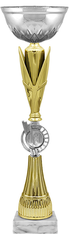 КубокТинара