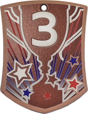 Медаль Инстер 3 место