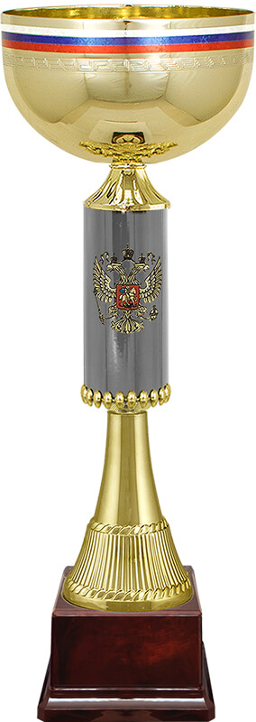 Кубок Артек Кубок Артек