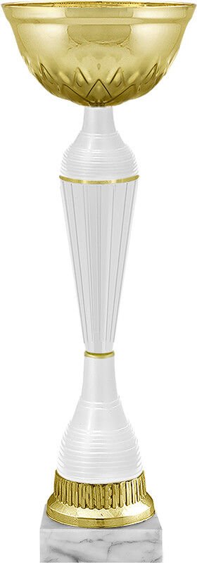 Кубок Вертер