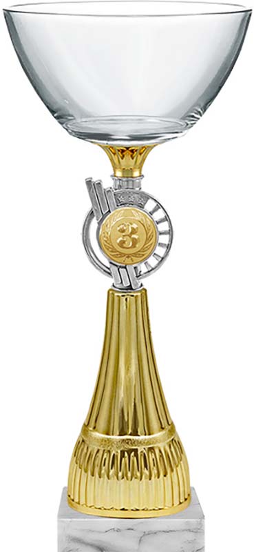 Кубок Фея 3 место