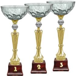 Кубок Нуар 3 место