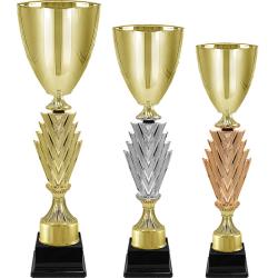 Кубок Чарити (под золото)