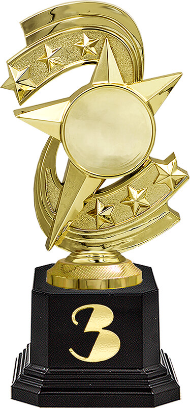 Награда 3 место