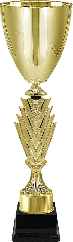 Кубок Чарити (под золото)