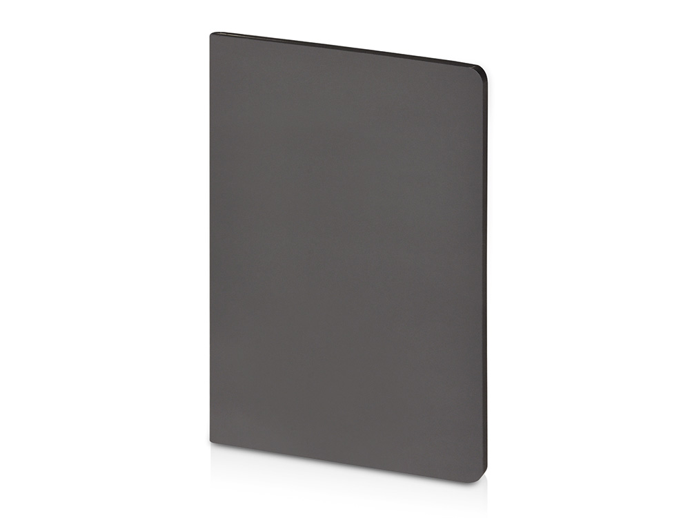 Бизнес-тетрадь А5 Pragmatic Contrast, 40 листов в клетку, серый с черным срезом