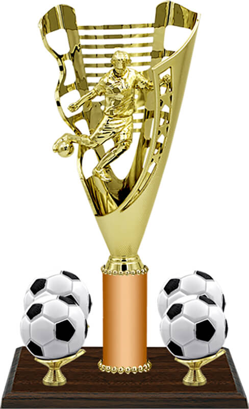 Кубок-награда Тодеус (под бронзу)