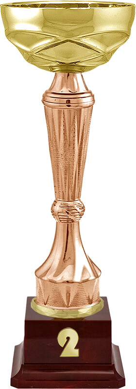 Кубок Спарт 2 место