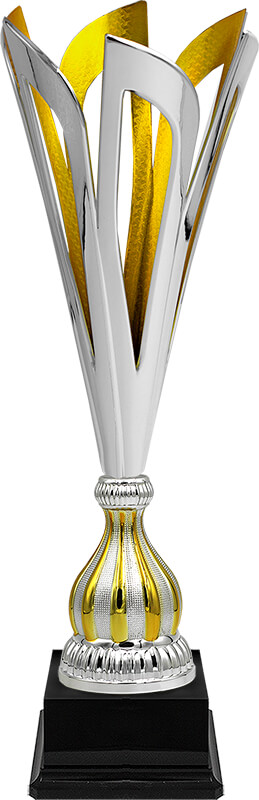 Кубок Нортон