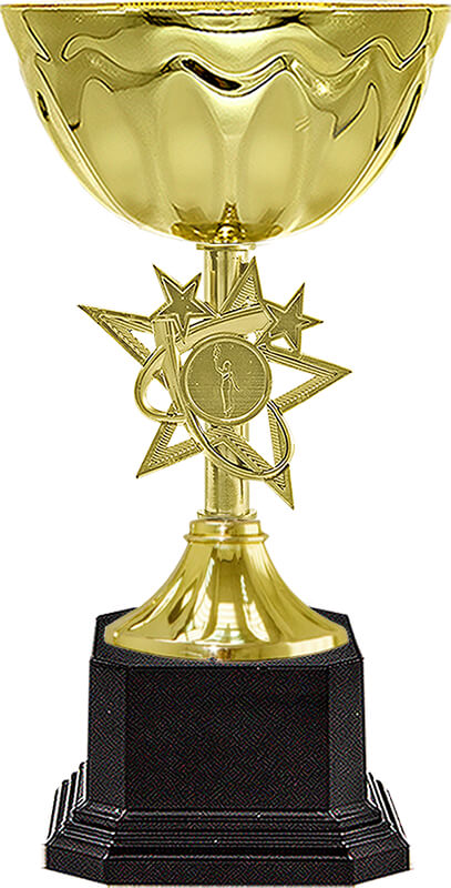 Кубок Айли (под золото)