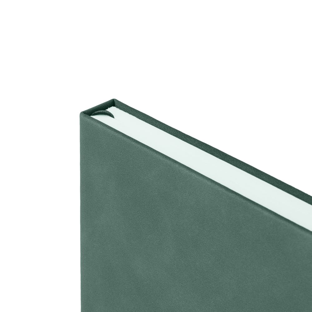 Ежедневник Horizon, недатированный, серый с зеленым Ежедневник Horizon, недатированный, серый с зеленым