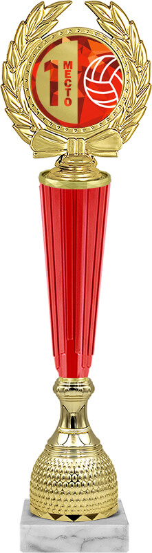 Награда волейбол 1 место