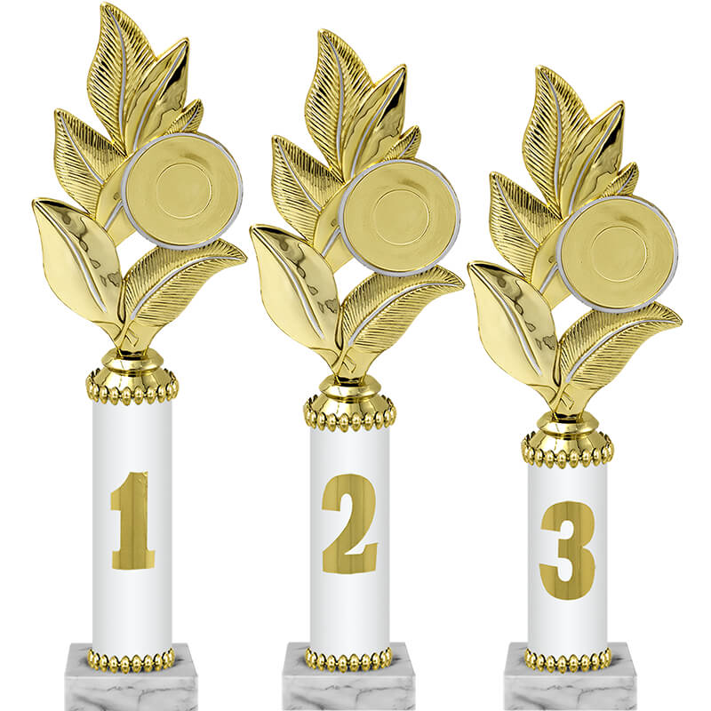 Награда 1 место