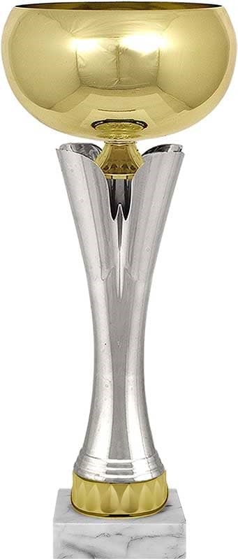 Кубок Айнур