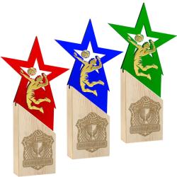 Награда волейбол