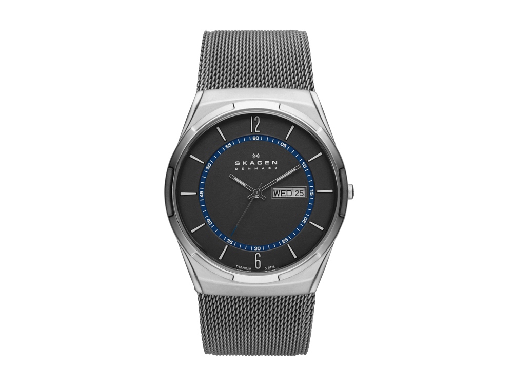 Часы наручные, мужские. Skagen Часы наручные, мужские. Skagen