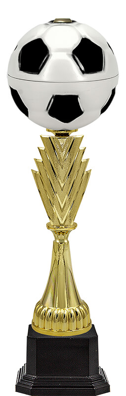 Кубок Свен (футбол)