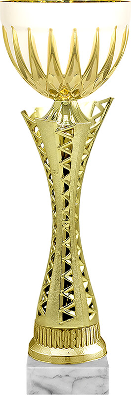 Кубок Салтан Кубок Салтан