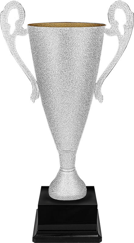 Кубок Буран