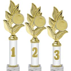 Награда 1 место