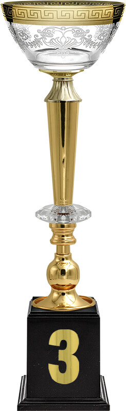 Кубок Эллея 3 место