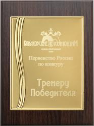 Вариант комплектации плакеток №968
