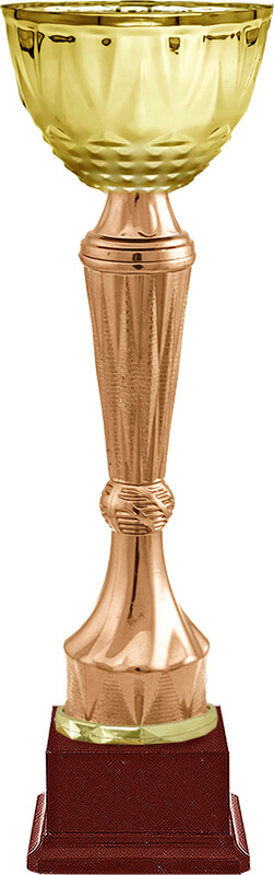 Кубок Бухер