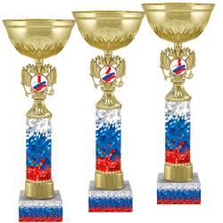 Кубок Агент