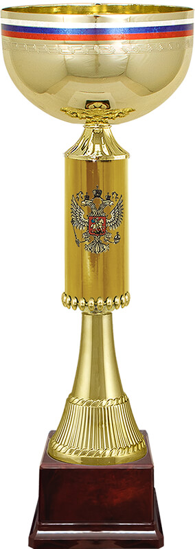 Кубок Артек Кубок Артек