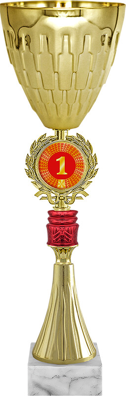 Кубок Радослав 1 место