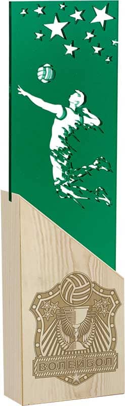 Награда волейбол