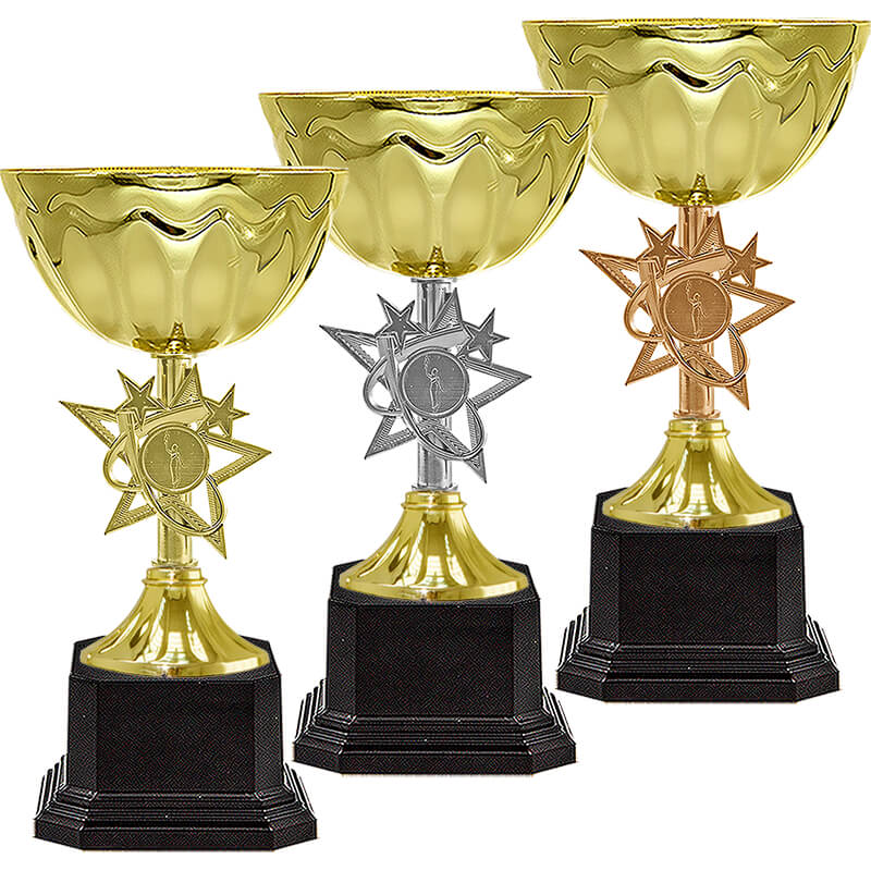 Кубок Айли (под бронзу)