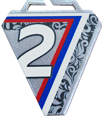 Медаль Мефодий 2 место Медаль Мефодий 2 место