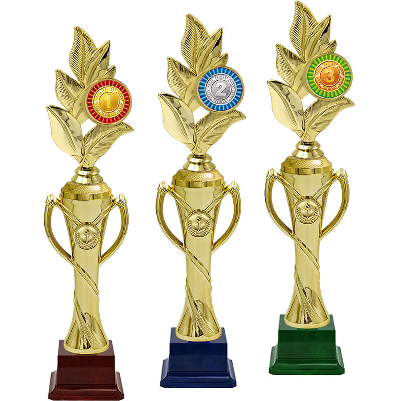 Награда 3 место