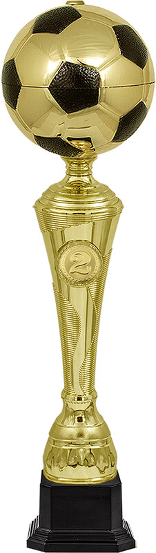 Кубок Фабиан 2 место