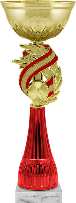 Кубок Брикс