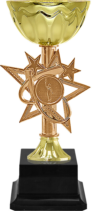 Кубок Алета (под бронзу)