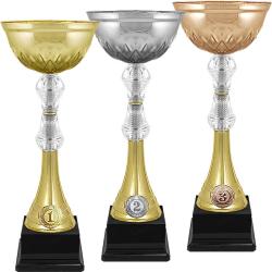 Кубок Нэш 3 место