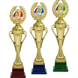 Награда 3 место